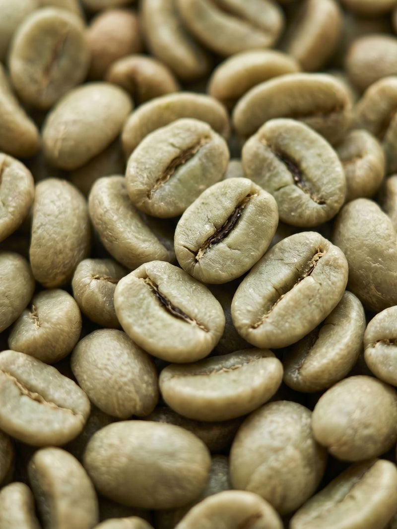 Extracto de Café Verde