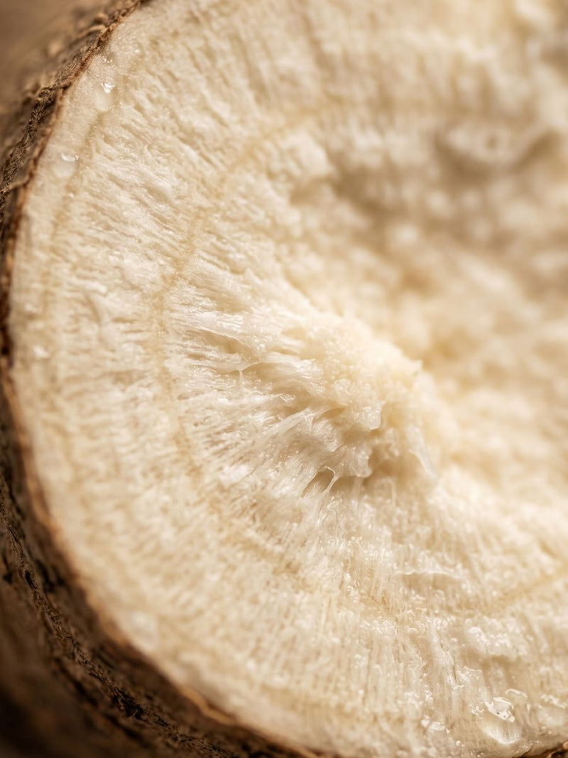 Extracto de Ñame (Wild Yam)